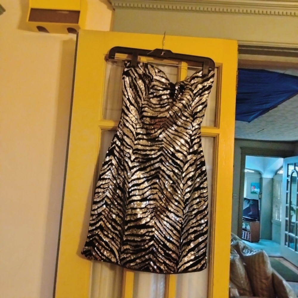 Elegant Black and Silver Strapless Dress